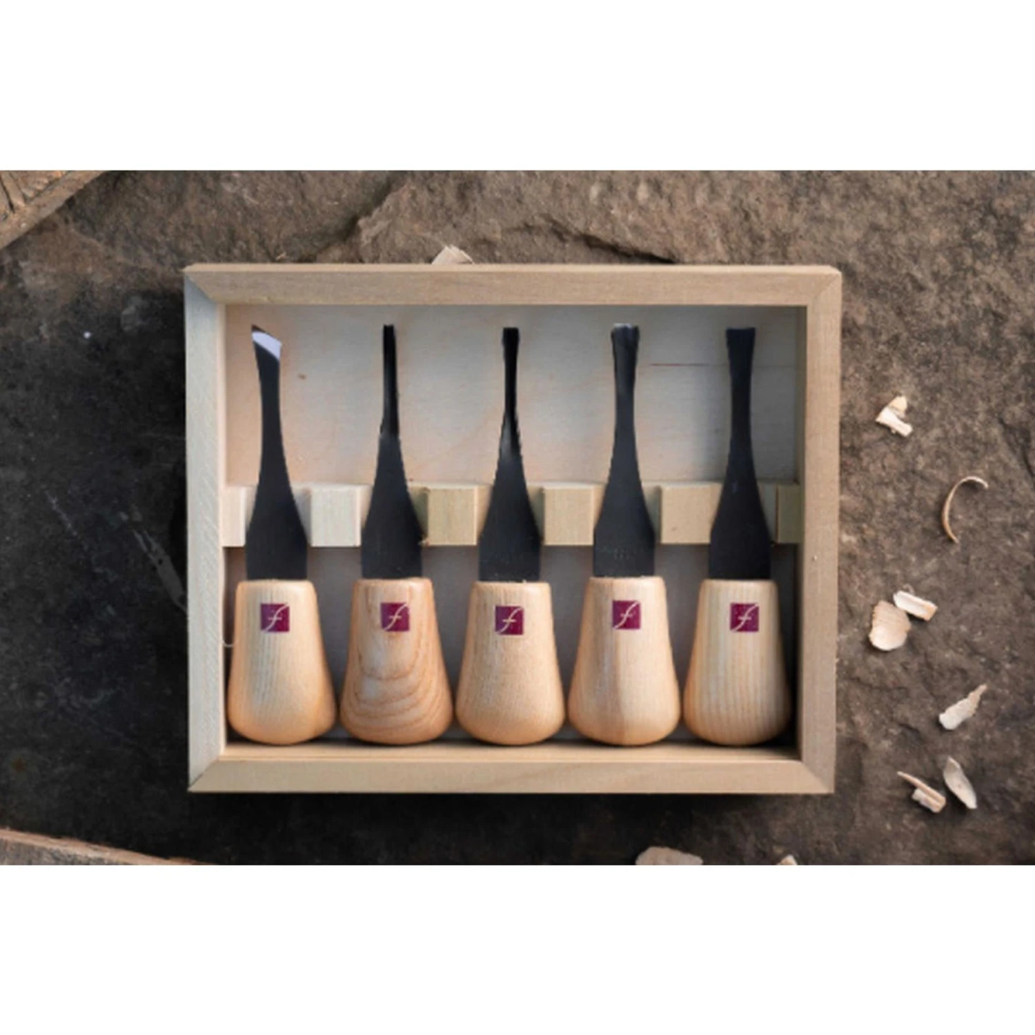 FRP310 Premium Beginners Palm Set 4 FRP310 Premium Beginners Palm Set - Image 2